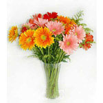 Lithuania flower :16 gerberas